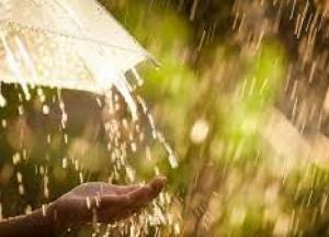 Прогноз погоды на 20 июля: часть Украины накроют грозовые дожди 