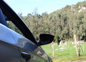 Сколько выходных будет в июне: украинцам подготовили сюрприз