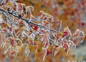 Прогноз погоды на 20 ноября: в Украине похолодает (карта) 