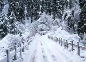 Прогноз погоды на 15 января: почти по всей Украине снегопады и морозы