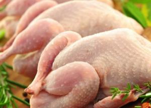 Назван производитель курятины без антибиотиков