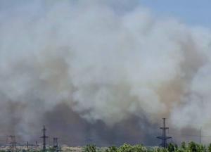 В Енергодарі палає ліс: сталося коротке замикання, місто повністю без світла та води (фото)