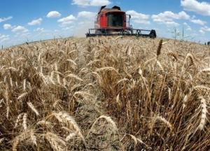Украина увеличит экспорт пшеницы