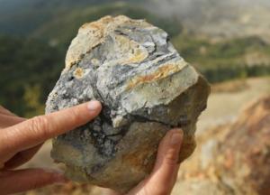 Ученые нашли неизвестные науке существа