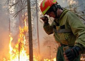 Обряды по вызову дождя: шаманы подключились к борьбе с пожарами в Сибири