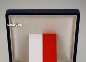 Польські активісти заснували Орден Майбутнього для України на тлі критики влади