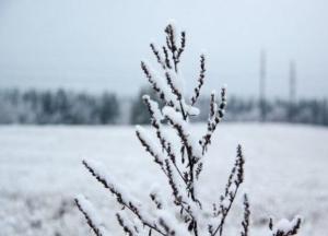 ​Прогноз погоды на выходные 22–23 января