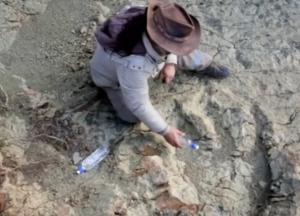 Разгадана тайна странных следов гигантского существа