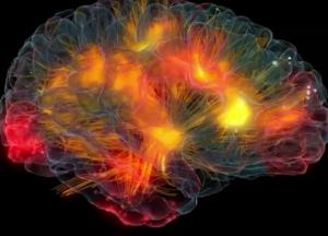 Ученые назвали продукты, которые сделают вас умнее