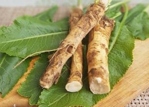 Врачи назвали пользу и вред корня хрена