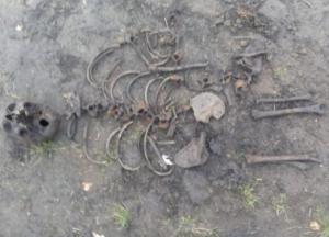 Под школой в Борисполе обнаружили скелеты