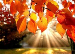 Прогноз погоды на 23 октября: бабье лето продолжается (карта)