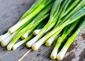 Врачи рассказали, кому нельзя есть зелёный лук
