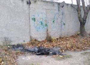 Житель Черноморска жил с трупом две недели, а потом сжег его (фото)