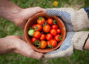 БТУ-ЦЕНТР – активный игрок на рынке органического производства
