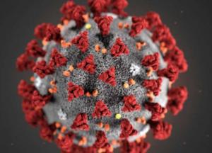 Ученые вычислили, кто является наиболее опасным носителем коронавируса