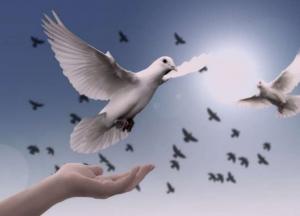 Ученые установили, куда исчезает душа человека после физической смерти тела