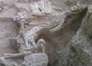 Ученые раскрыли загадку массовой гибели животных 9 млн лет назад