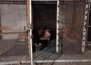 Катівня у Вишневому: засуджено двох військових рф, які викрадали та мучили бранців (відео)