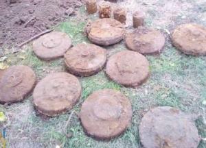 В Запорожской области во дворе частного дома нашли мины времен войны