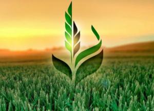 Выручка Аграрного фонда упала более чем в три раза