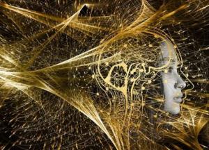 Ученые назвали три недостатка высокого интеллекта