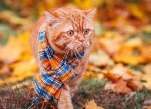 Прогноз погоды на 11 сентября: в Украине господствует "бабье лето"