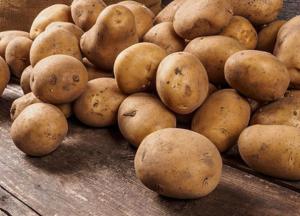 Названы полезные и вредные свойства картофеля