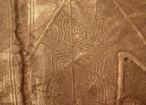 Ученые расшифровали рисунки в пустыне Наска