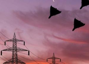 Чотири влучання по енергооб‘єктах на Чернігівщині: без світла понад 400 тисяч абонентів