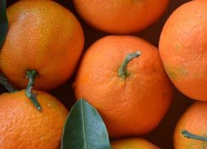 Врачи рассказали о пользе и вреде мандарин