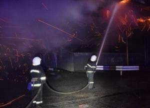 В Николаеве произошел масштабный пожар на зерновом терминале (фото)