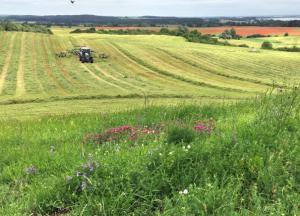 Исследователи обнаружили новый крайне тревожный признак влияния человека на планету