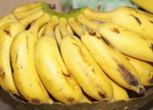 Специалисты назвали продукты, которые укрепляют органы дыхания