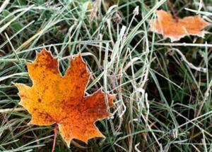 Ноябрь-2020 стал вторым самым теплым ноябрем за почти полтора века