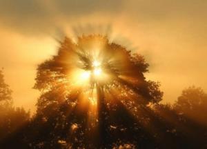 Витамин D: 7 продуктов, которые заменят солнечный свет