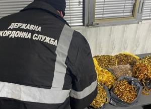 На границе с Румынией изъяли партию украшений из янтаря (фото)