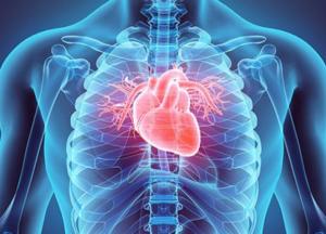 Врачи назвали внешние признаки болезней сердца