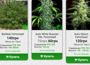 Медицинская конопля будет легализована? Украинские реалии