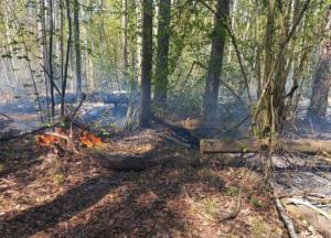 Самолеты РФ с неуправляемыми ракетами атаковали Черниговщину (фото)