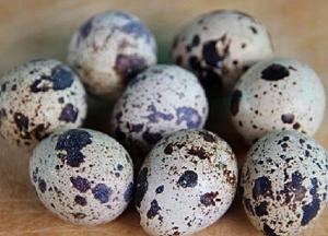 Названы полезные свойства перепелиных яиц
