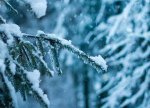 Прогноз погоды на 16 февраля: осадков синоптики не прогнозируют