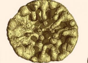 Археологи нашли в Китае загадочный эмбрион, которому 600 миллионов лет