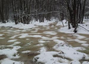 На Житомирщине женщина утонула в болоте