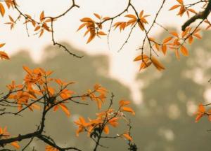 Прогноз погоды на 17 ноября: солнечно и морозно