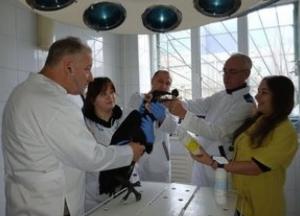 Миколаївський зоопарк відзначив День працівників ветеринарної медицини