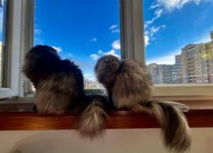Сильні дощі насуваються на Київ та центральні області: прогнозують похолодання