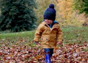 Идет похолодание: прогноз погоды в Украине на завтра (видео)