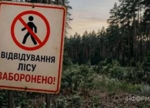 Киян закликають утриматися від відвідування лісів через високу мінну небезпеку