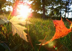 Прогноз погоды на 18 октября: Украина - одна из самых теплых стран Европы (карта)